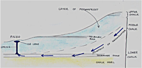 Diagram of North-South cross section through the chalk layers under Thriplow.  This shows the start of the development of a pingo   The vertical scale has been exaggerated for clarity.